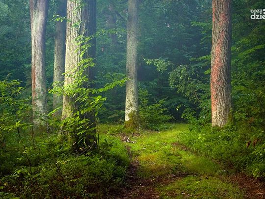 Na weekend, na ferie. 13 propozycji, jak spędzić czas Na weekend, na ferie. 13 propozycji, jak spędzić czas