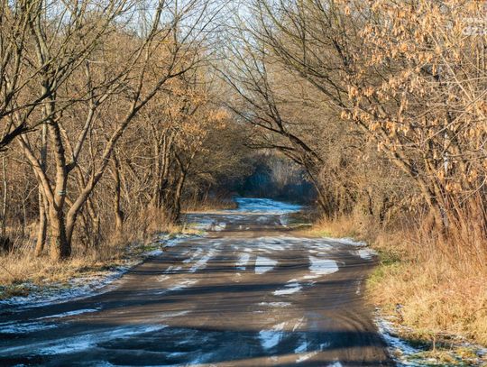 Zimowy spacer po Lesie Kapturskim (zdjęcia)