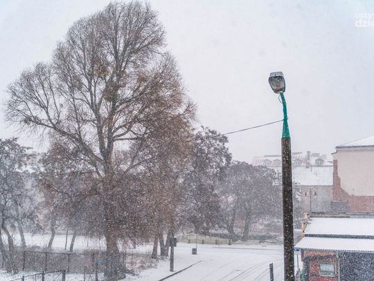 Radom zasypany po burzy śnieżnej (zdjęcia)