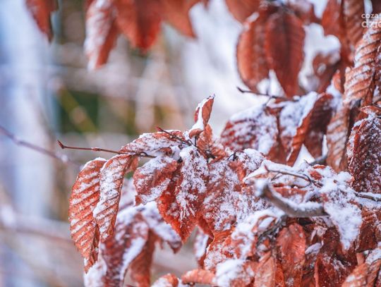 Ferie 2022. Propozycje kulturalne 