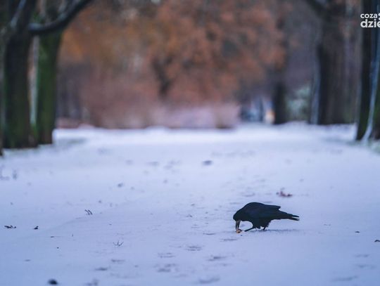 Ferie 2022. Propozycje kulturalne 