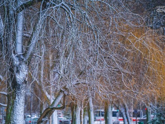 Ferie 2022. Propozycje kulturalne 