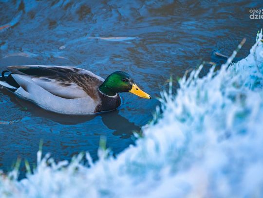 Ferie 2022. Propozycje kulturalne 