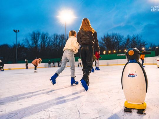 Ferie 2022. Propozycje dla dzieci i młodzieży