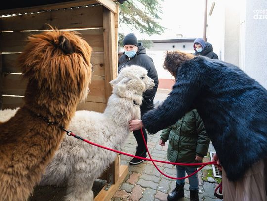 Weekend w obiektywie