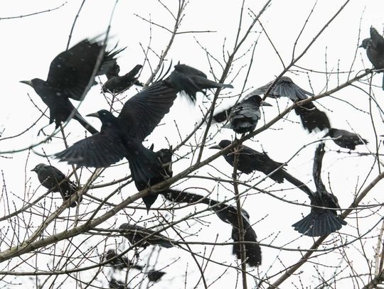 Weekend w obiektywie