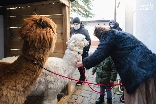 Weekend w obiektywie