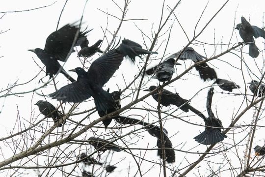 Weekend w obiektywie