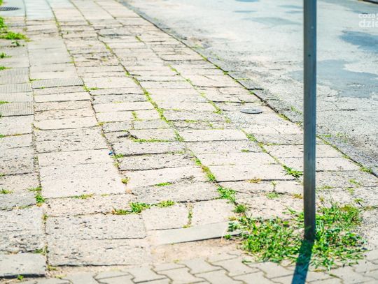 Ulica Cicha zostanie wyremontowana (zdjęcia) Ulica Cicha zostanie wyremontowana (zdjęcia)