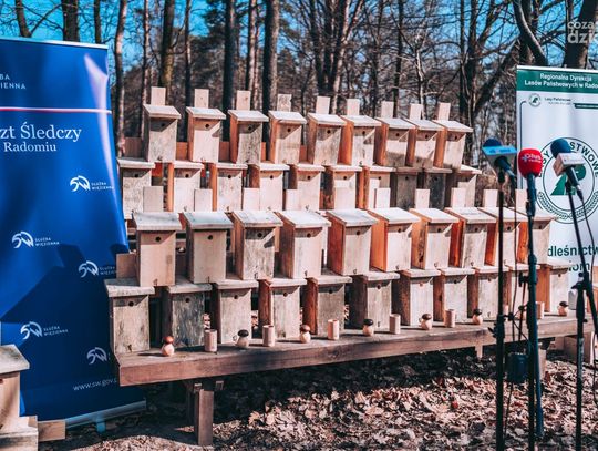 Lasy dla więźniów, więźniowie i lasy dla przyrody (zdjęcia)