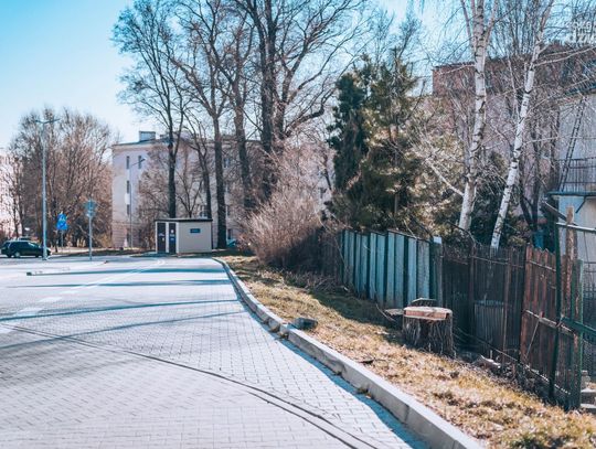 Wycinka drzew przy RCS (zdjęcia)