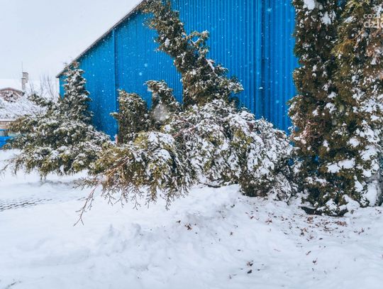 Nieustające opady śniegu (zdjęcia)