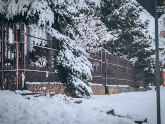 Weekend w obiektywie