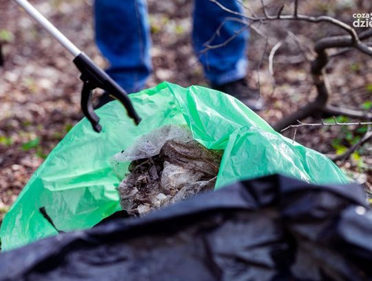 Weekend w obiektywie