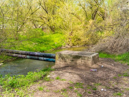 Zielona akcja - sprzątanie ul. Rybnej w pobliżu rzeki Mlecznej (zdjęcia)