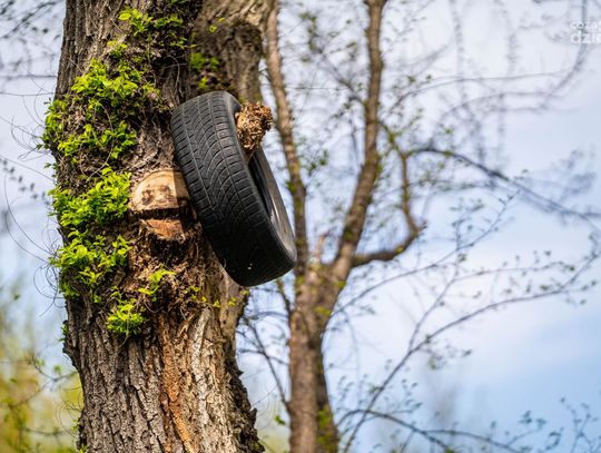 Weekend w obiektywie