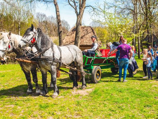 Weekend w obiektywie