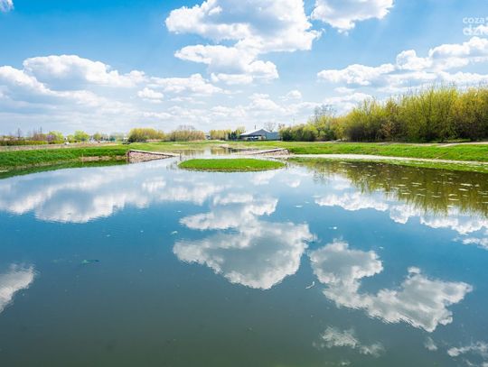 Majówka w obiektywie