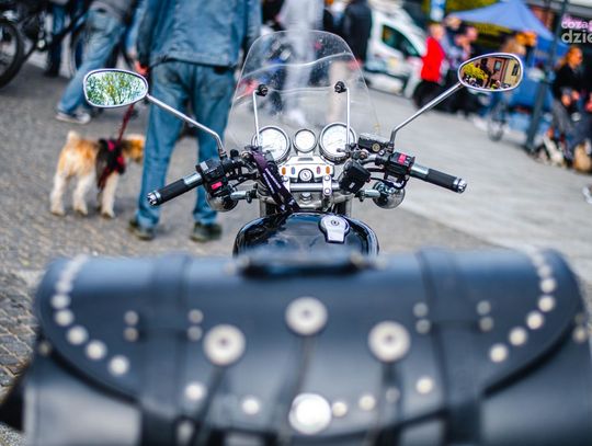 Majówka w obiektywie