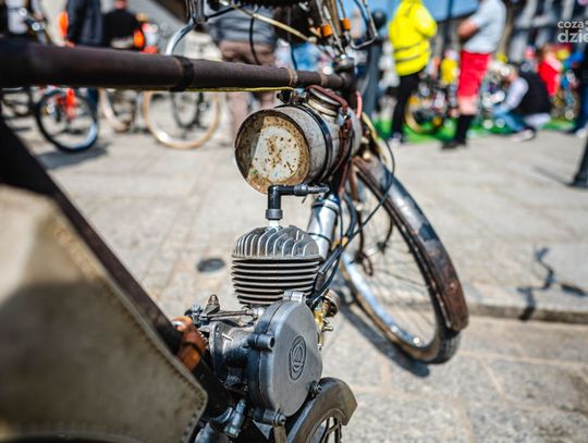 Majówka w obiektywie