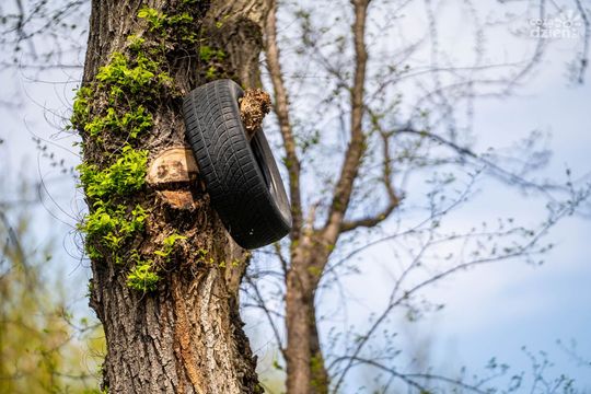 Weekend w obiektywie