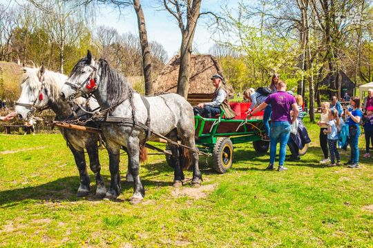 Weekend w obiektywie