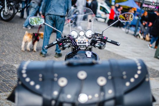 Majówka w obiektywie