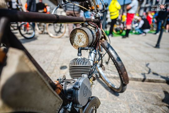 Majówka w obiektywie