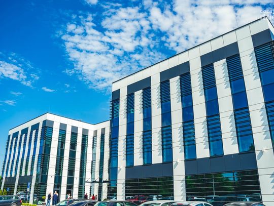 Odsłonięcie uli w Miasteczku Orange (zdjęcia)