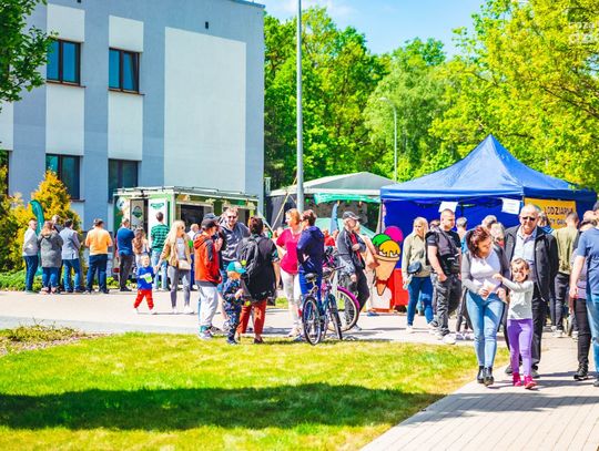 Święto Polskiej Niezapominajki w Jedlni-Letnisku (zdjęcia)