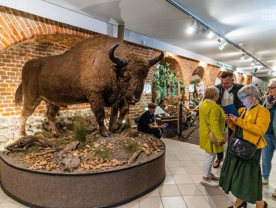 Weekend w obiektywie