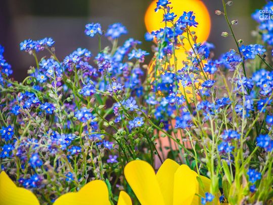 Weekend w obiektywie