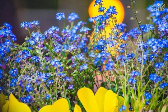 Weekend w obiektywie