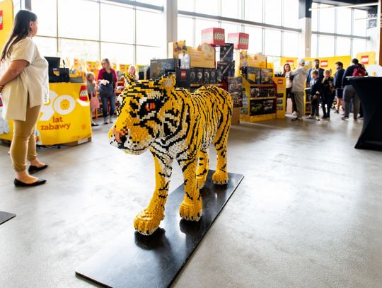 Festiwal Klocków LEGO w hali RCS (zdjęcia)