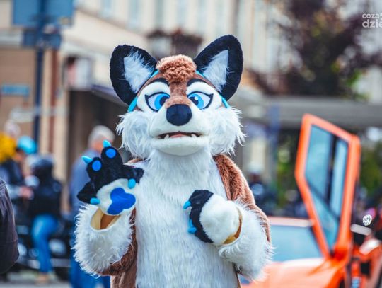 Weekend w obiektywie