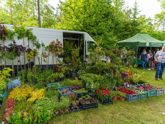 Weekend w obiektywie