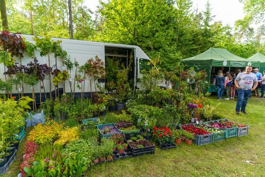 Weekend w obiektywie