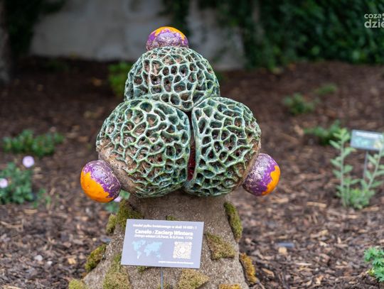 Budżet Obywatelski Mazowsza - konferencja (zdjęcia)