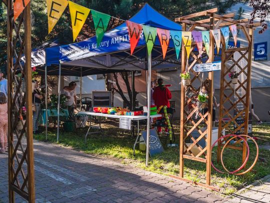 Dzień dobry na kulturę (zdjęcia)