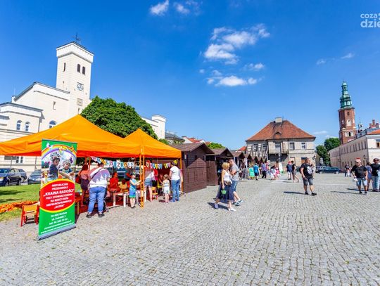 Radomskie Dni Godności - Pokaz Mody (zdjęcia)