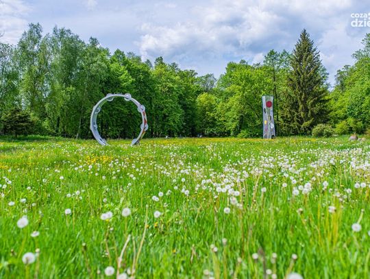 Budżet Obywatelski Mazowsza