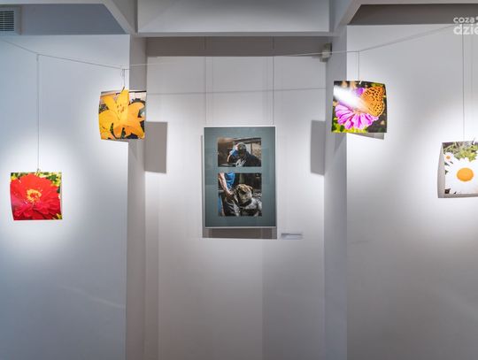 Weekend w obiektywie