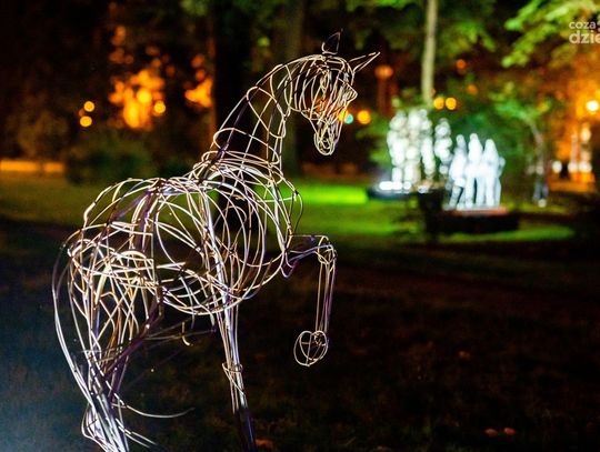 Weekend w obiektywie