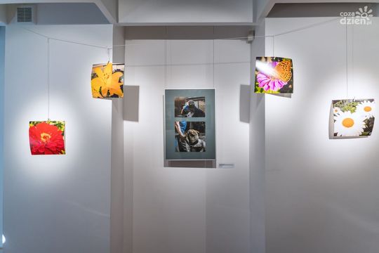 Weekend w obiektywie