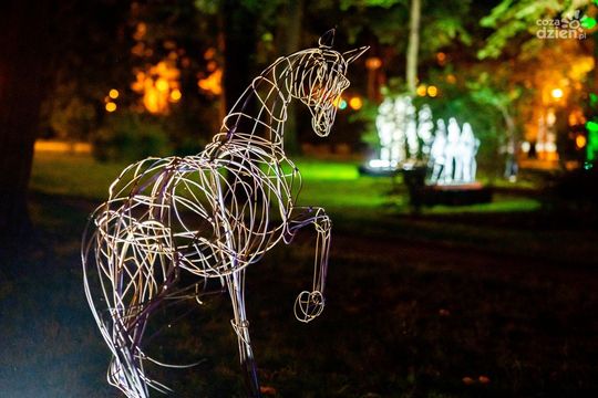 Weekend w obiektywie