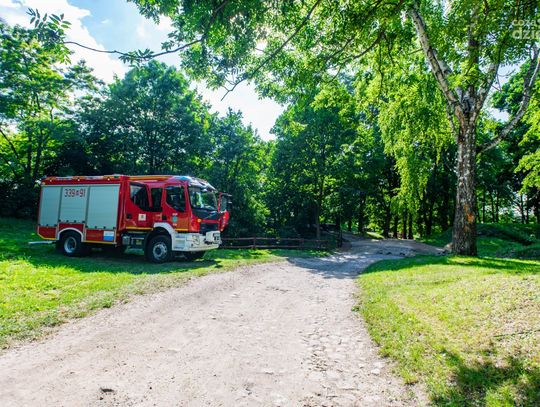 Festyn charytatywny dla Tosi w Iłży (zdjęcia)