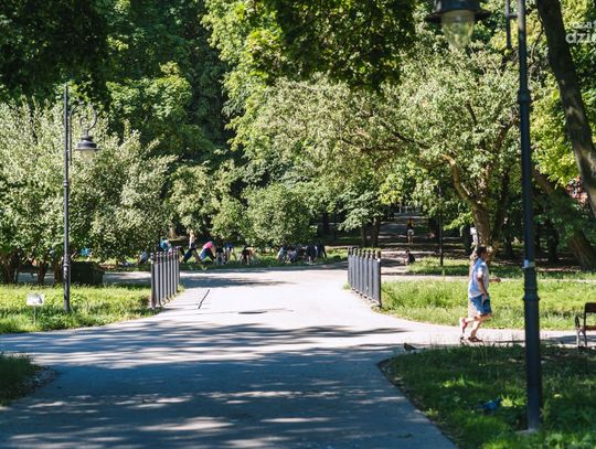 Światowy Dzień Jogi w Radomiu (zdjęcia)