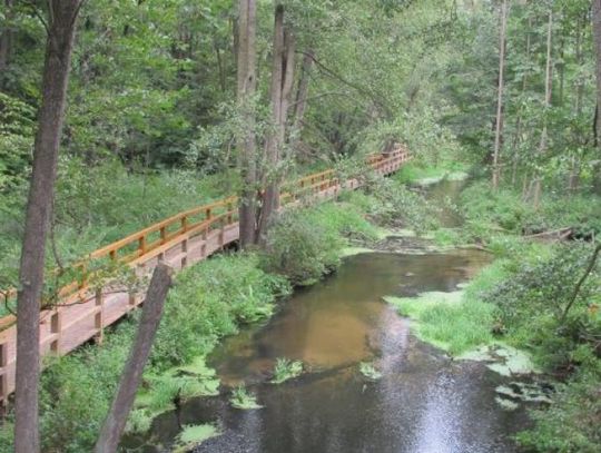 Królewskie Źródła w Puszczy Kozienickiej