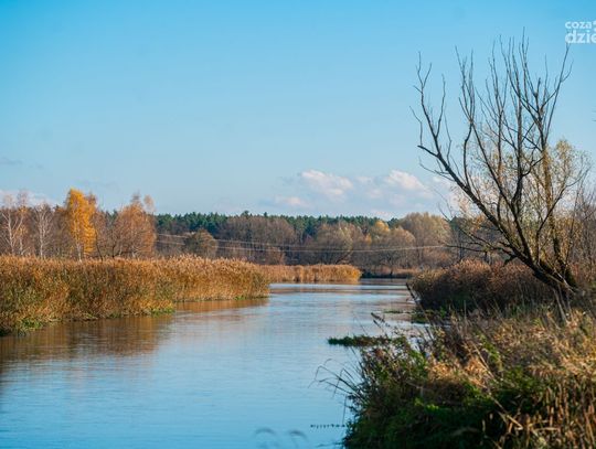 Spływy kajakowe Pilicą