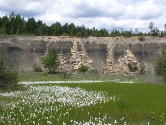 Gagaty Sołtykowskie